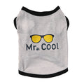 Dogs and Cats T-Shirt