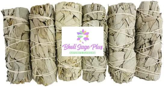 Bholi Sage Plus Sage Smudge Kit Pack of 6 White Sage Smudge Stick 4Inch Long Used for Meditation Smudging Rituals and Cleansing Getting Rid of Negative Energy Sustainably Grown California Sage