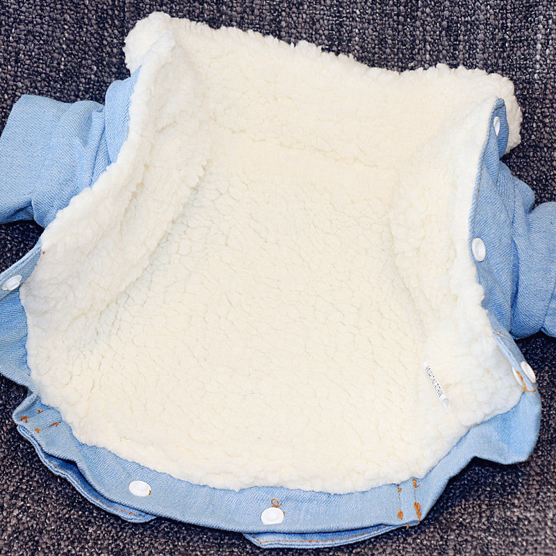 Thick Warm Cotton Jacket, Denim Pet Clothes