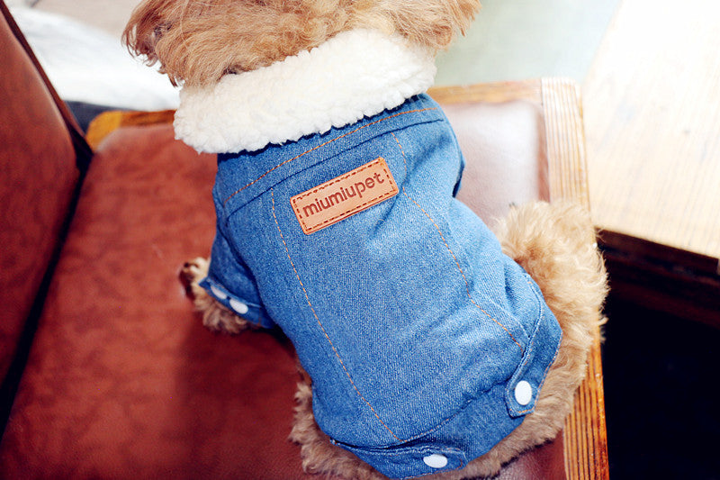 Thick Warm Cotton Jacket, Denim Pet Clothes