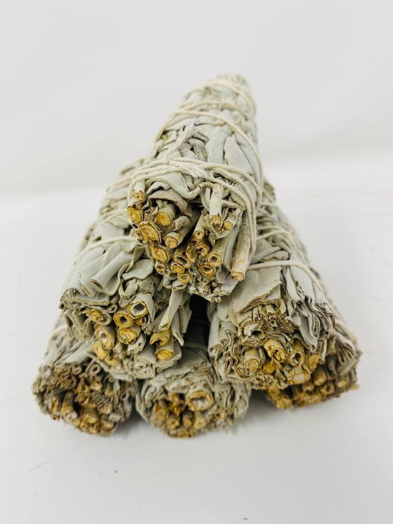Bholi Sage Plus Sage Smudge Kit Pack of 6 White Sage Smudge Stick 4Inch Long Used for Meditation Smudging Rituals and Cleansing Getting Rid of Negative Energy Sustainably Grown California Sage