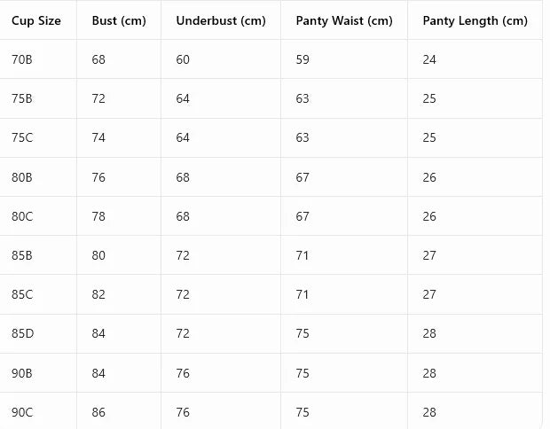 Set Stylish everyday Push-Up Bra and High Waist Briefs Tummy Control Panty women's underwear set
