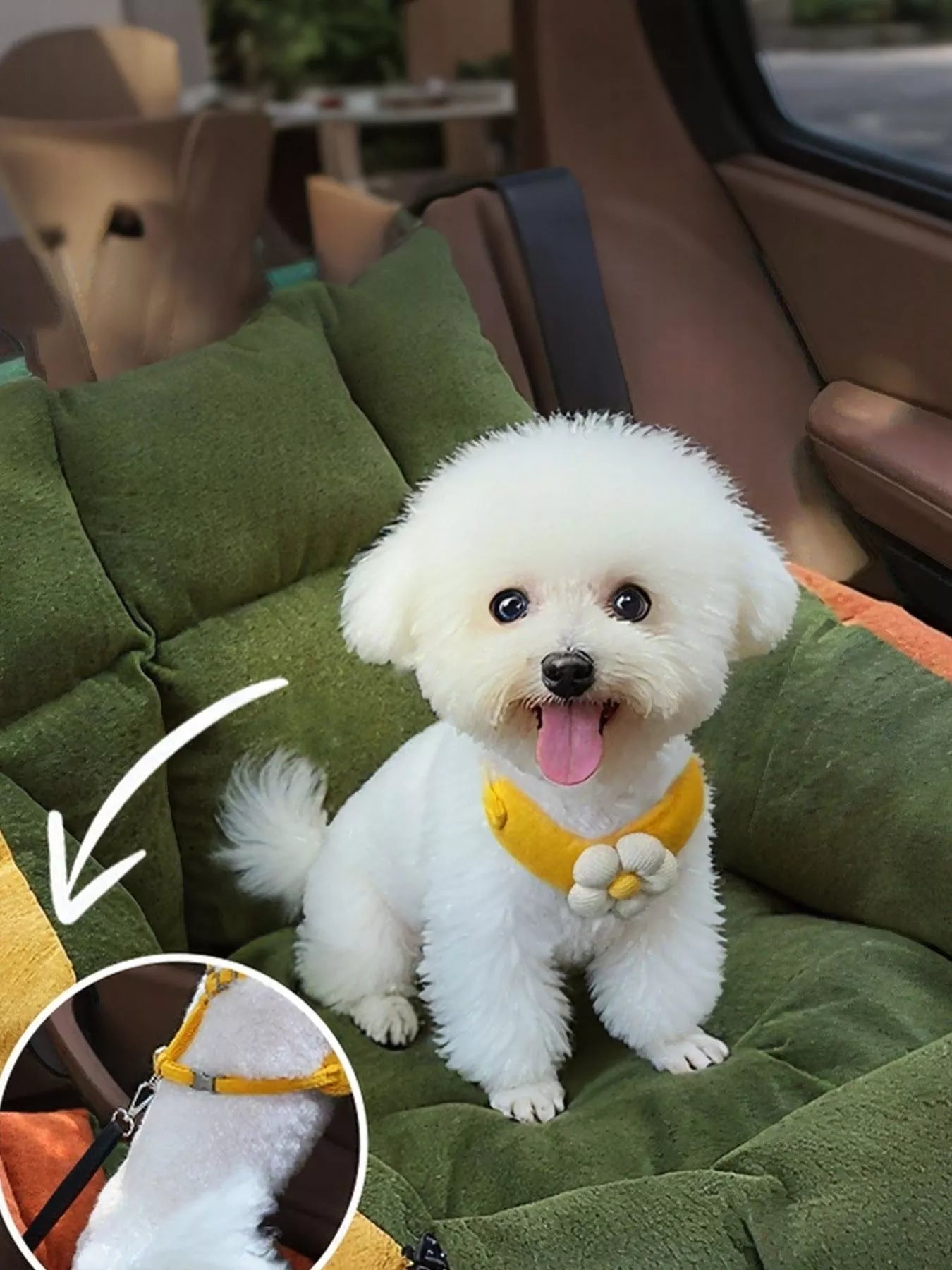 afeeb31e-7a8e-4140-9604-d7bd82b717ad-Max-Origin