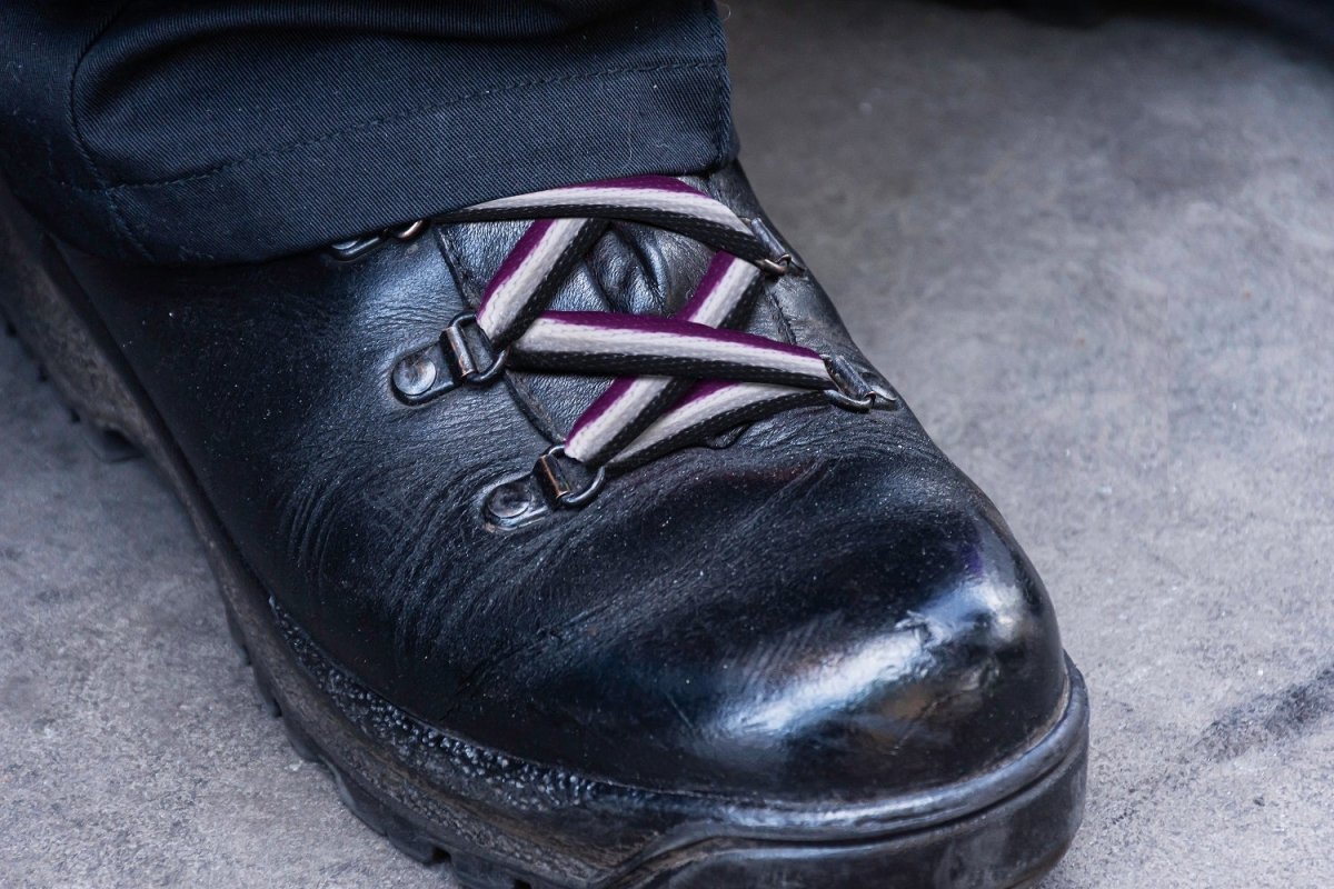 1/5/10/25/100 Bulk Asexual Flag Shoe Laces