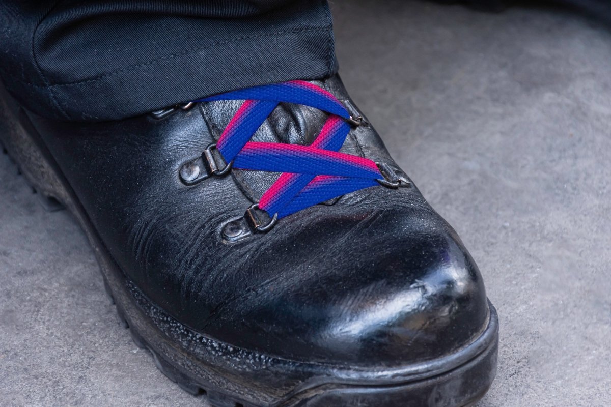 5/10/25/100 Pairs Bisexual Flag Shoe Laces