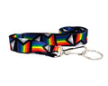 1/5/10/25 Daniel Quasar Flag Stripe Lanyards