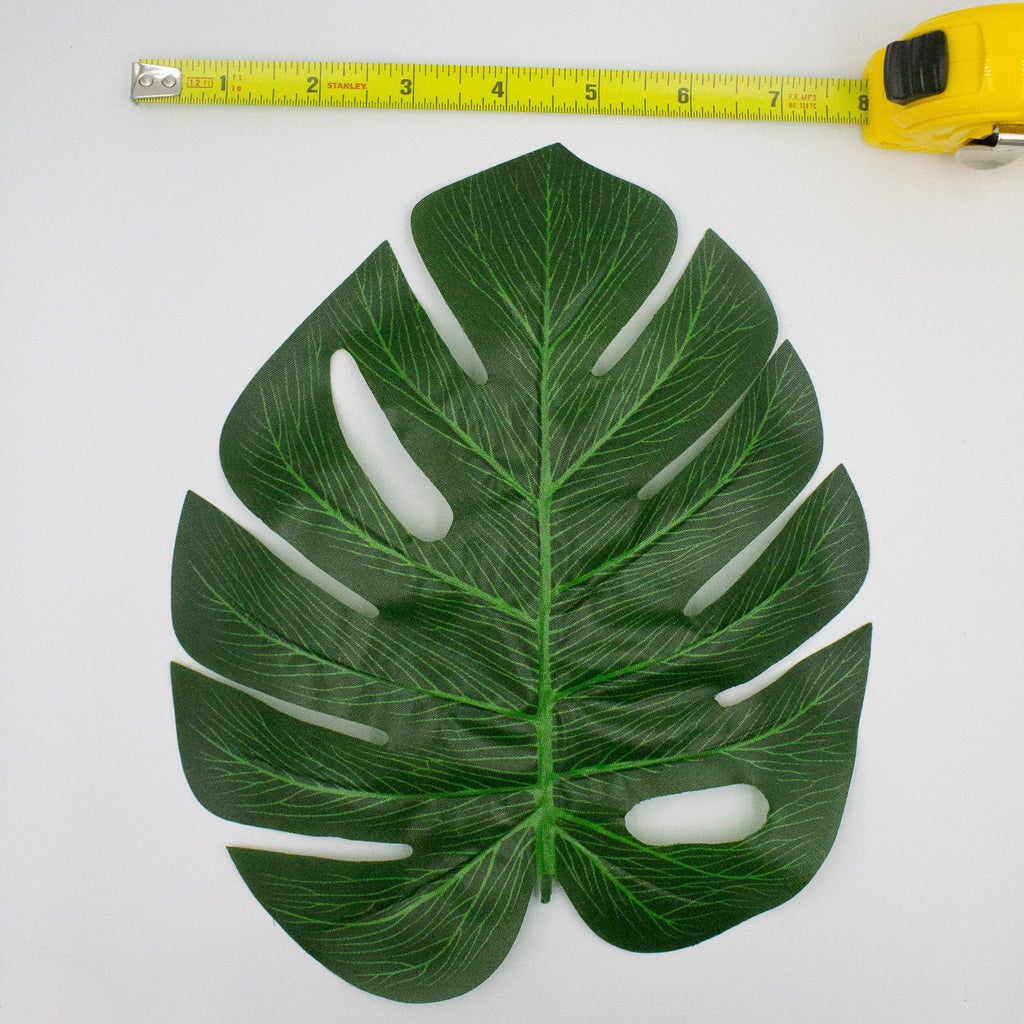 Monstera Tropical Leaves