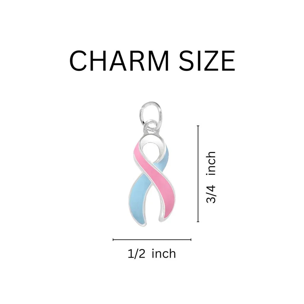 Pink & Blue Ribbon Horseshoe Key Chains