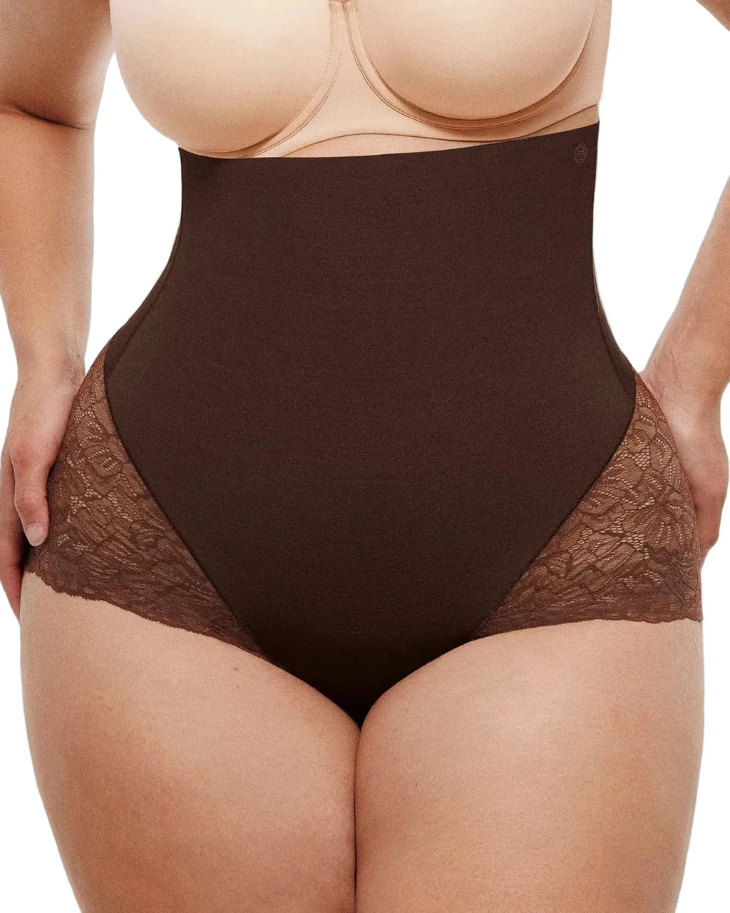 Distribution Bare Essentials™ MeshSmooth™ High-Waisted  Sheer Lace Brief