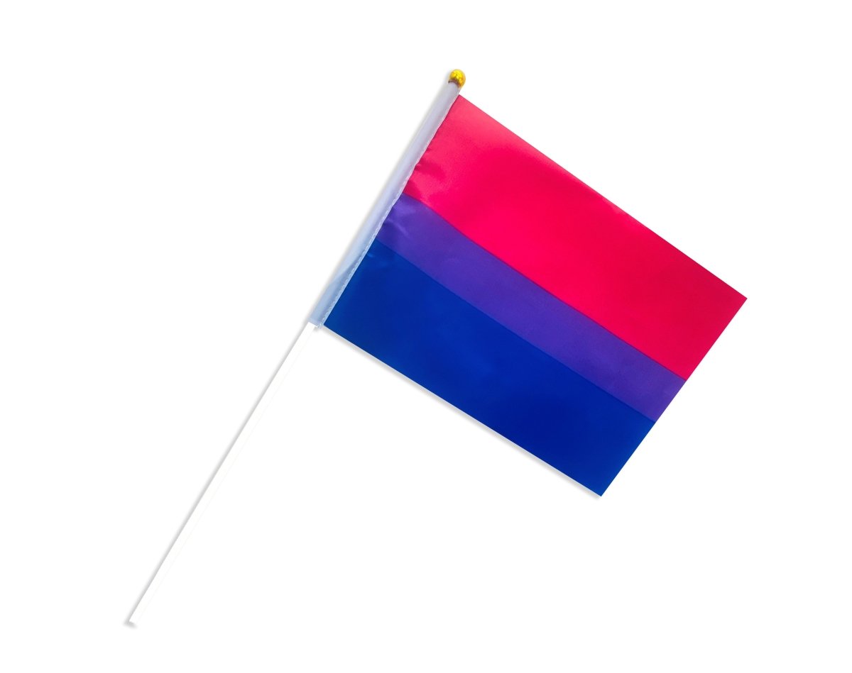 10/25/100/500 Bulk Small Bisexual Flags on a Stick