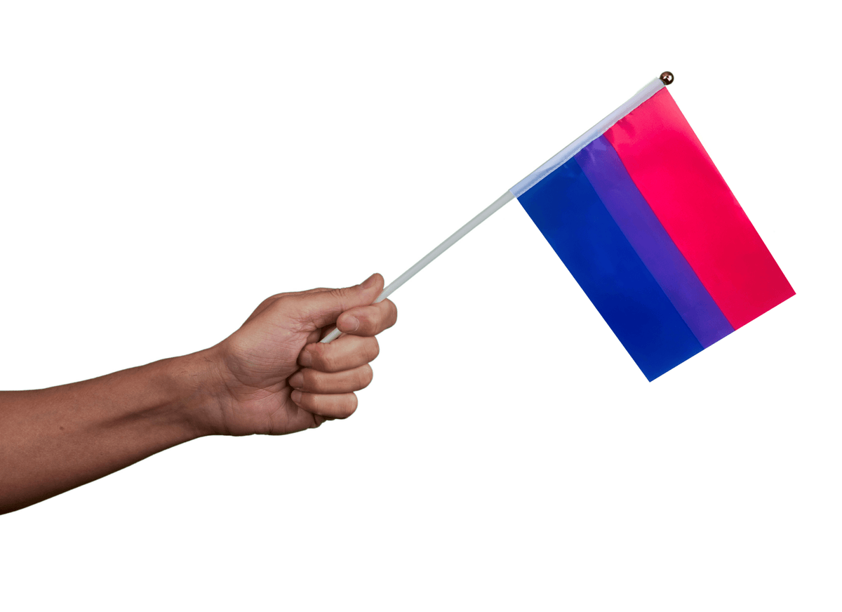 10/25/100/500 Bulk Small Bisexual Flags on a Stick