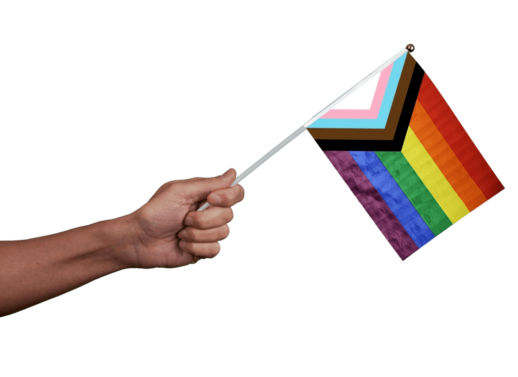 5/25/50/100 Bulk Small Daniel Quasar Flags on a Stick