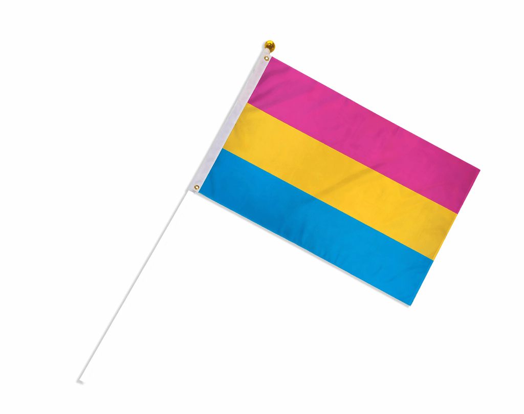 5/25/50/100 Bulk Small Pansexual Flags on a Stick
