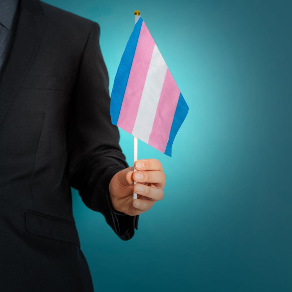5/25/50/100 Bulk Small Transgender Flags on a Stick