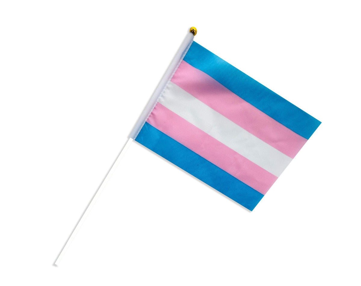 5/25/50/100 Bulk Small Transgender Flags on a Stick
