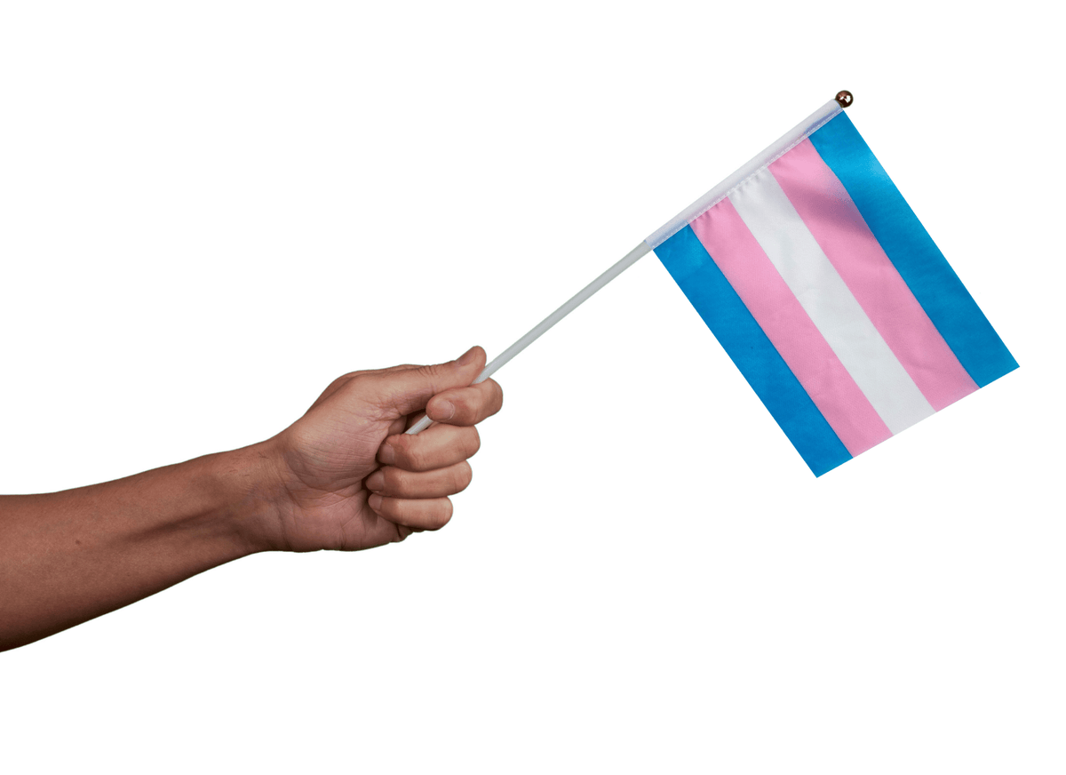 5/25/50/100 Bulk Small Transgender Flags on a Stick
